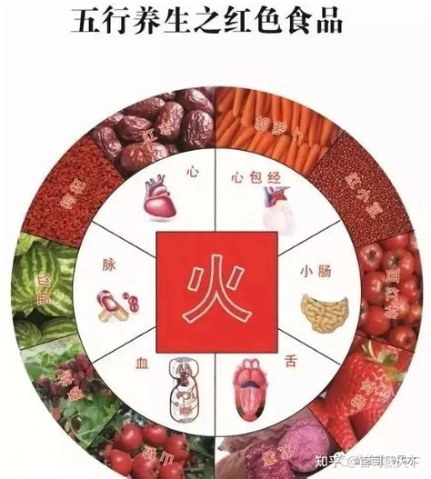 五行屬金的食物